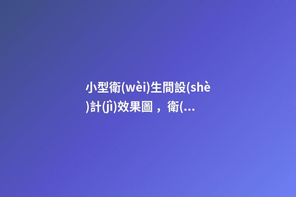 小型衛(wèi)生間設(shè)計(jì)效果圖，衛(wèi)生間就得這樣裝-第1張-觀點(diǎn)-玄機(jī)派